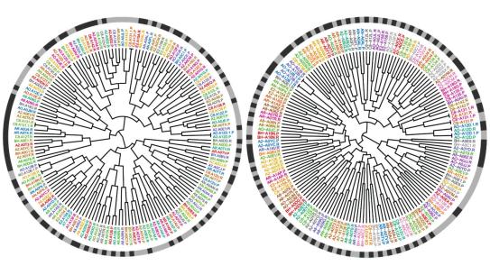 cell sequencing